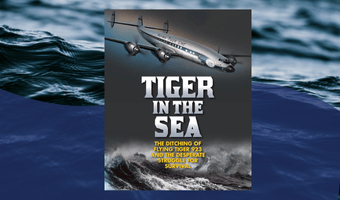 Tiger in the Sea