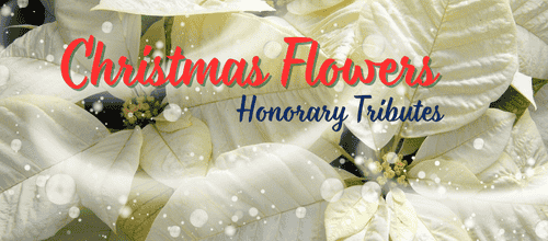 Christmas Flower Tributes